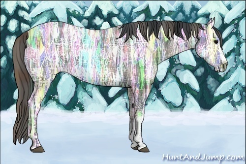 Horse Color:Plaid Black Ice