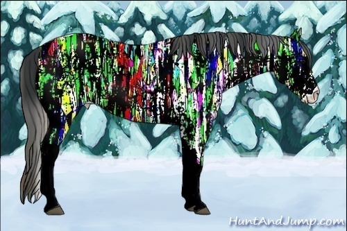 Horse Color:Plaid  White Spotted Black Ice Rabicano 