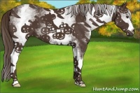 Horse Color:White Spotted Liver Chestnut 