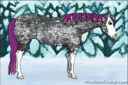 Horse Color:Painted Black Ice Splash Rabicano
