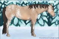 Horse Color:White Spotted Amber Champagne Ice 