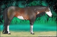 Horse Color:Brown Sabino