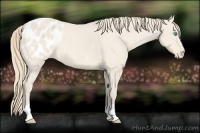 Horse Color:Perlino Roan Blanket 