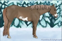 Horse Color:Chocolate Palomino Frame 