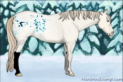 Horse Color:Perlino Ice Roan Dun