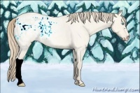 Horse Color:Perlino Ice Roan Dun 