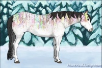 Horse Color:White Spotted Bay Ice Rabicano