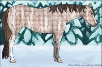 Horse Color:Plaid  Bay Ice 