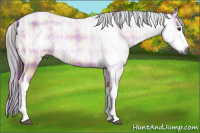 Horse Color:Gray Plaid Bay Ice