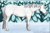 Horse Color:Plaid Amber Champagne Ice Sabino