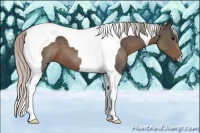 Horse Color:Silver Black Tobiano 