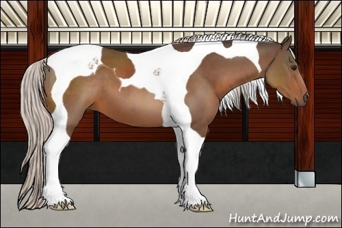 Horse Color:Silver Brown Tobiano