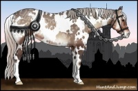 Horse Color:White Spotted Silver Blue Onyx Ice 