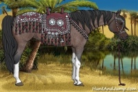 Horse Color:Brown Roan Tobiano 