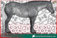 Horse Color:Silver Black Chinchilla