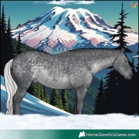 Horse Color:Silver Black Chinchilla 