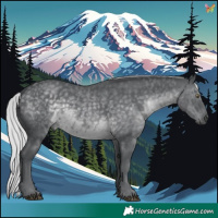 Horse Color:Silver Black Chinchilla 