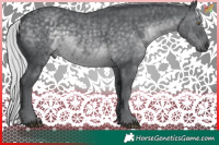 Horse Color:Silver Black Chinchilla 