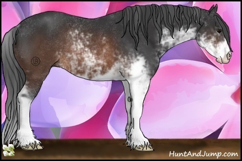 Horse Color:Brown Sabino Rabicano 