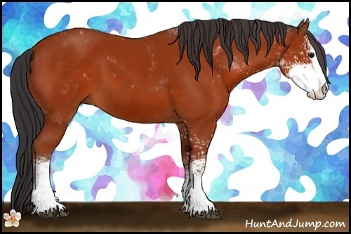Horse Color:Brown Sabino 