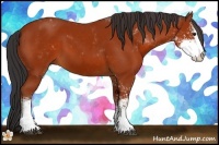 Horse Color:Brown Sabino