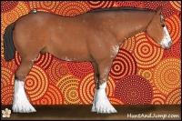 Horse Color:Bay Sabino