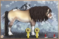 Horse Color:Brown Onyx Tobiano Rabicano 