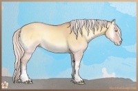Horse Color:Silver Sable Champagne Onyx Sabino Rabicano