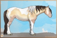 Horse Color:Amber Champagne Onyx Sabino Tobiano Rabicano