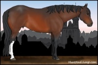 Horse Color:Painted Bay 