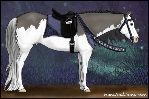 Horse Color:Grullo Sabino Splash