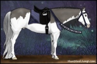 Horse Color:Grullo Sabino Splash 