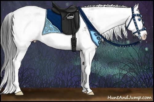 Horse Color:Grullo Sabino Splash 