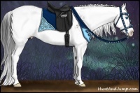 Horse Color:Grullo Sabino Splash