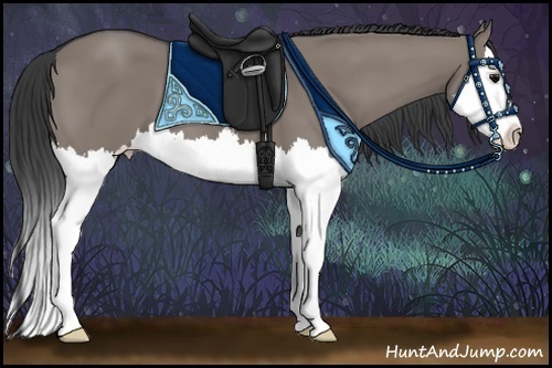 Horse Color:Grullo Sabino Splash 