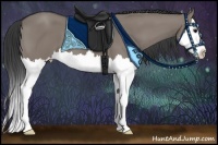 Horse Color:Grullo Sabino Splash