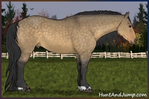 Horse Color:Buckskin Dun Brindle 