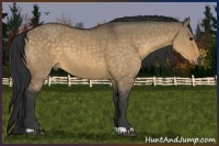 Horse Color:Buckskin Dun Brindle 