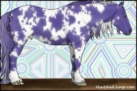 Horse Color:Watercolor White Spotted Black 