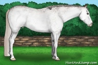 Horse Color:White Spotted Silver Brown 