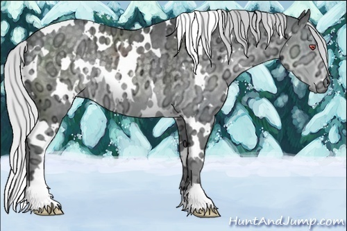 Horse Color:White Spotted Silver Black Chinchilla Ice 