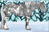 Horse Color:White Spotted Silver Black Chinchilla Ice 