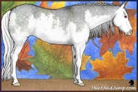 Horse Color:Silver Grullo Chinchilla Splash 