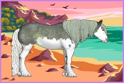 Horse Color:Silver Blue Chinchilla Roan Splash 