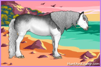 Horse Color:Gray Silver Brown Chinchilla Splash 
