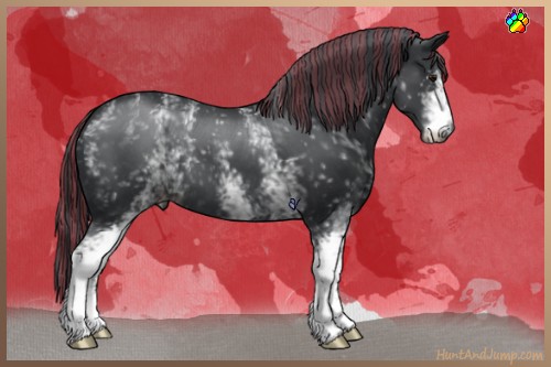 Horse Color:Painted White Spotted Black Chinchilla 