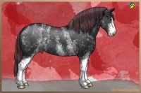Horse Color:Painted White Spotted Black Chinchilla
