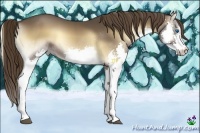 Horse Color:Liver Red Onyx Splash