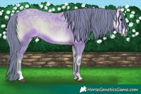Horse Color:Watercolor Brown Ice Onyx