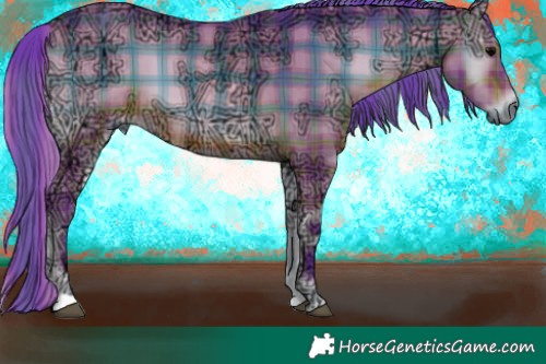 Horse Color:Watercolor Plaid  Brown Ice Onyx 